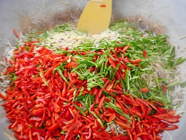 DSCN4177
