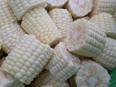 DSCN4530