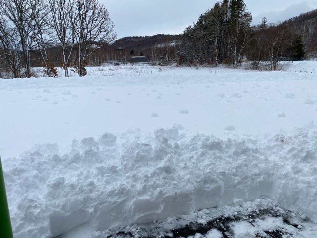 photo_20251215-091948